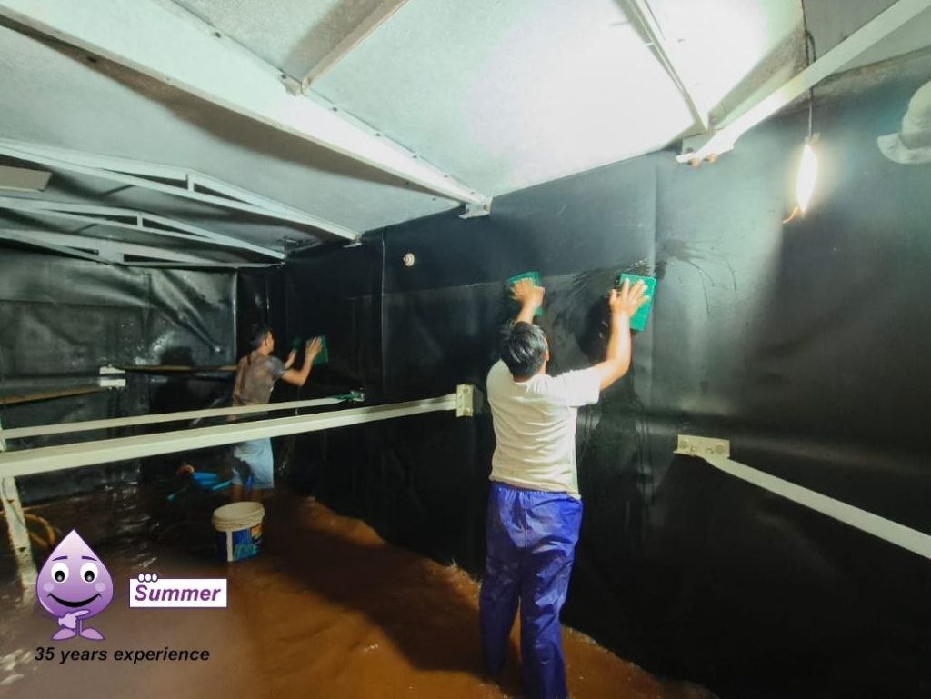 Water Tank Cleaning